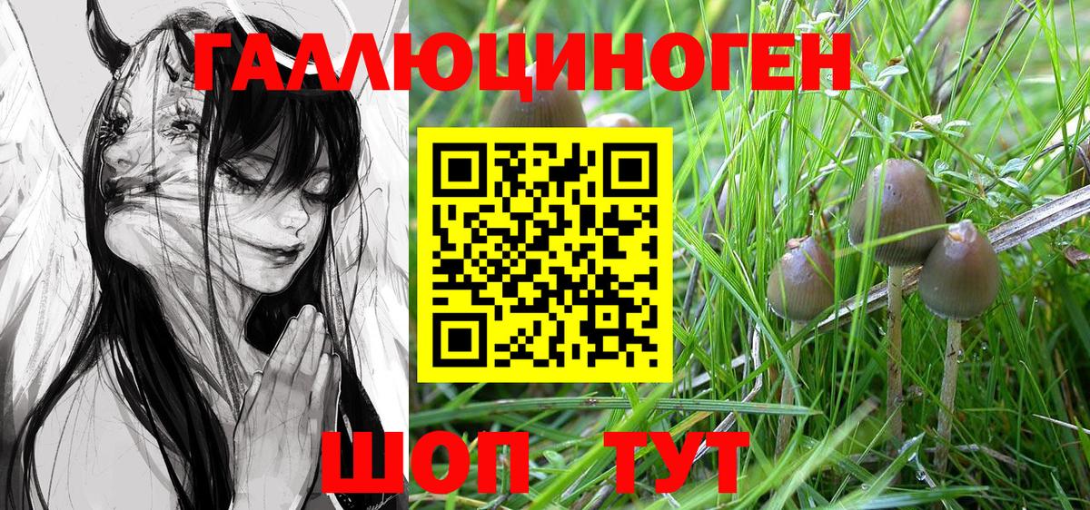 Псилоцибиновые грибы прущие грибы  Вход с VPN  купить наркоту  Луховицы 