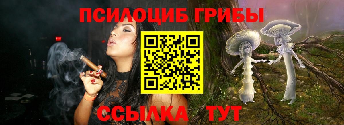 Псилоцибиновые грибы мицелий Луховицы